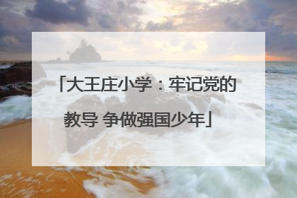 大王庄小学：牢记党的教导 争做强国少年